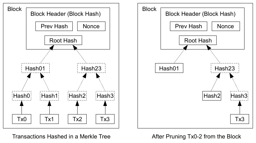 Diagram: left, a block whose transactions Tx0 to Tx3 are hashed in a Merkle tree up to the root hash in the block header; right, the same block after pruning Tx0 to Tx2, keeping only Hash01, the Hash23 branch and Tx3.